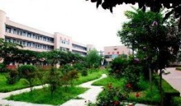 项城三高最新爆料,揭秘校园风云，探寻教育新篇章”