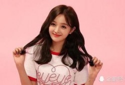 白鹿黑粉爆料视频大全最新,视频大全背后的真相与争议